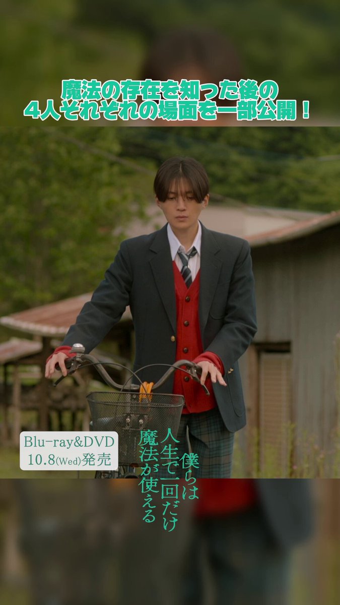 八木勇征　千社札(全部揃って無いです。) 八木勇征 TRIBE KINGDOM トラキン 千社札 - メルカリ
