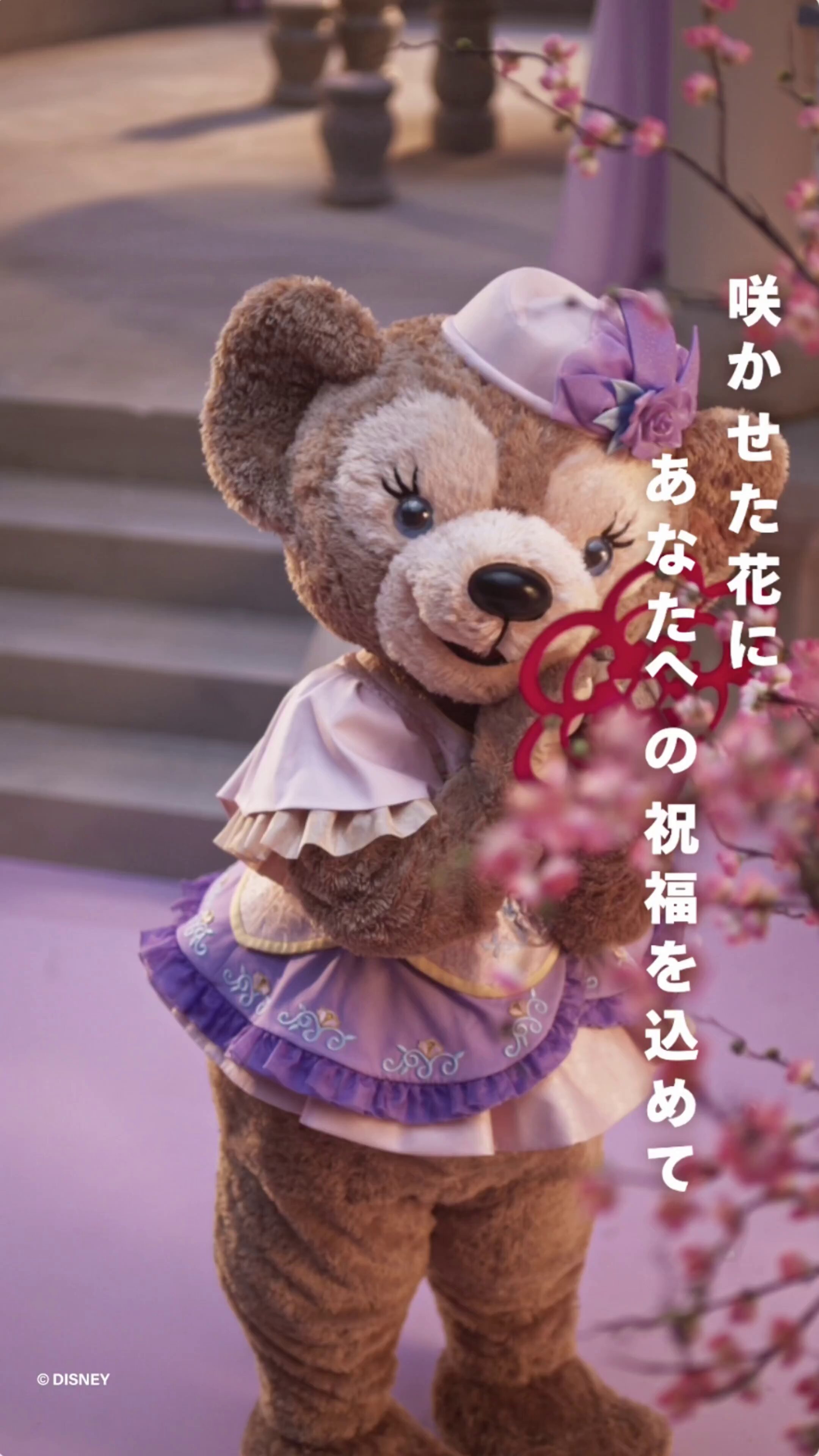 【お顔厳選】上海ディズニー　2024冬限定 まとめ2点 お顔厳選】上海ディズニー 2024冬限定 まとめ2点