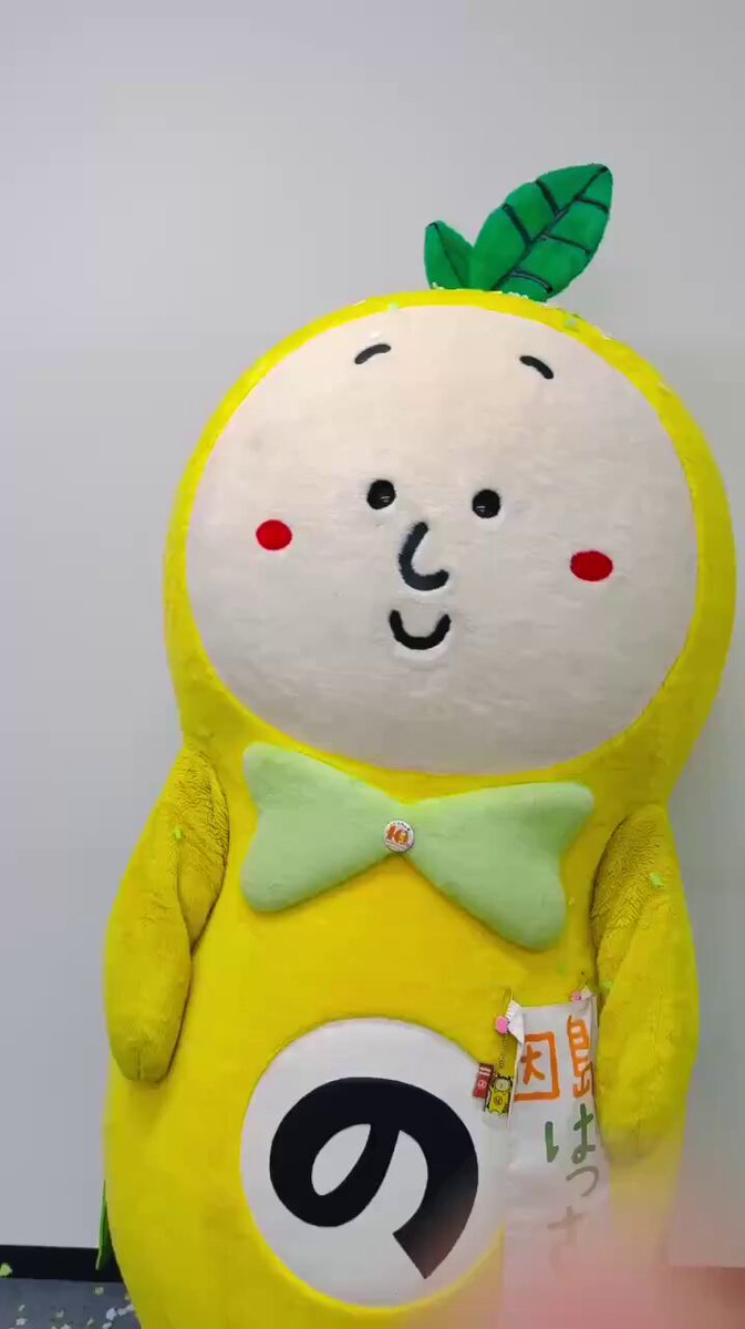 ❤❤ちさ子でございます❤❤極上美品❤❤シェアードヌートリア×フォックス❤ 美生 - Cerca / X