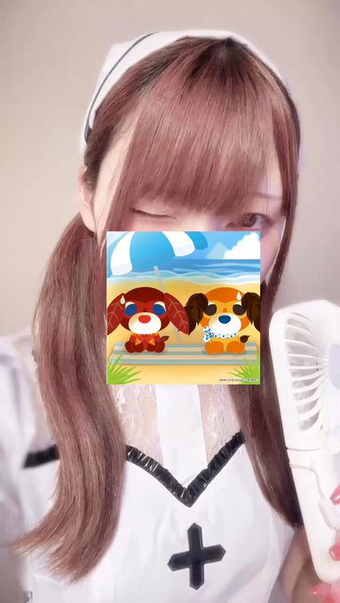 京橋コンカフェGreif（コンカフェ）のツイート