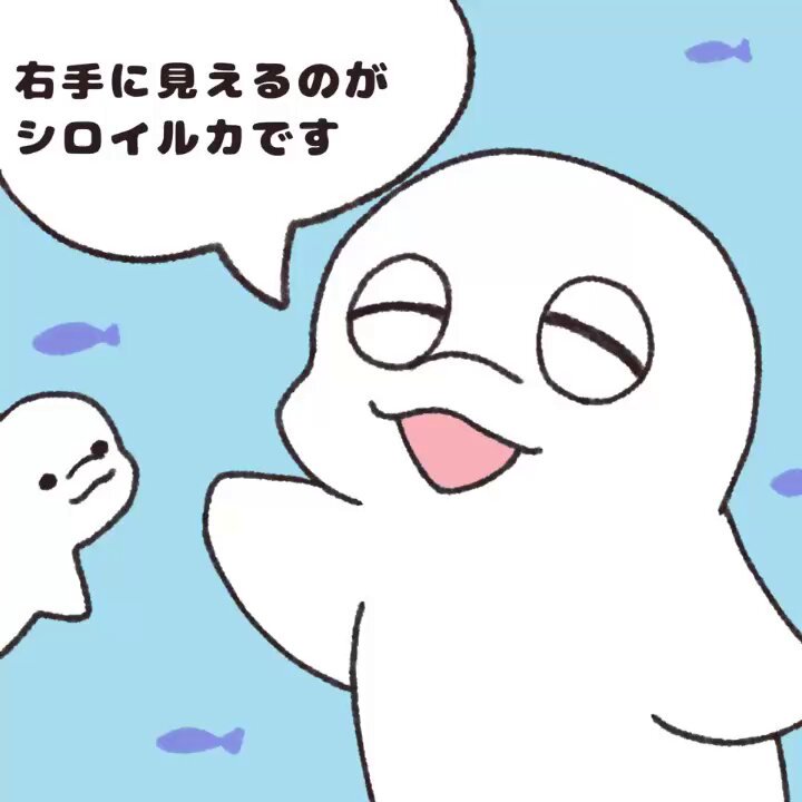 まろちゃん まろちゃん (@C_Maronn) / X