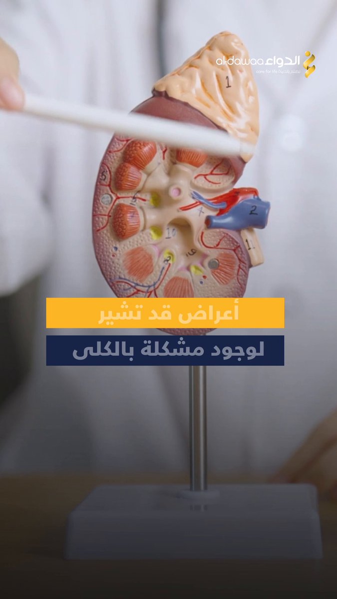 انتبه لهذه الأعراض التي قد تشير لوجود مشكلة بالكلى، واستشر الطبيب: #معلومة_ودواء 