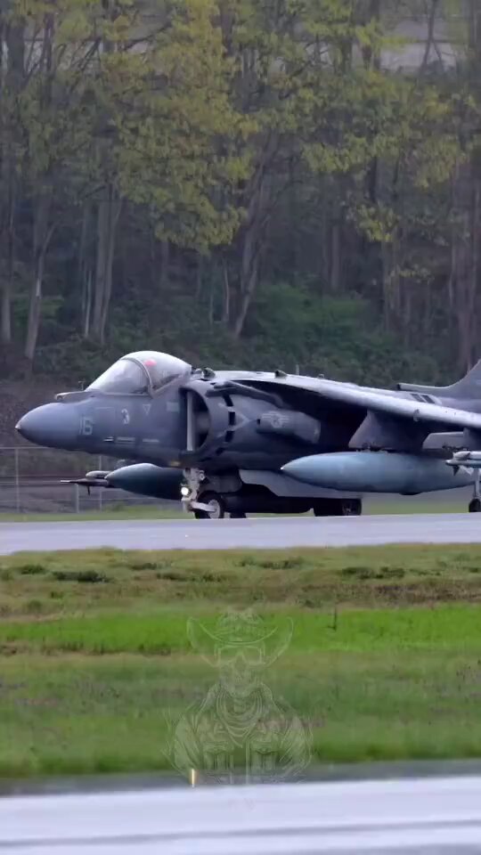 海兵隊VMA-223 BULLDOGSパッチ5枚セット Amazon.co.jp: 海兵隊VMA-223 BULLDOGSパッチ5枚セット : おもちゃ