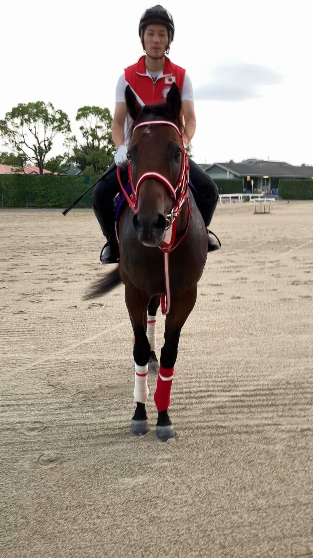 芦毛馬　置物 オプションプレゼント中！】 タクボ物置 物置 屋外 BELOS ベロス