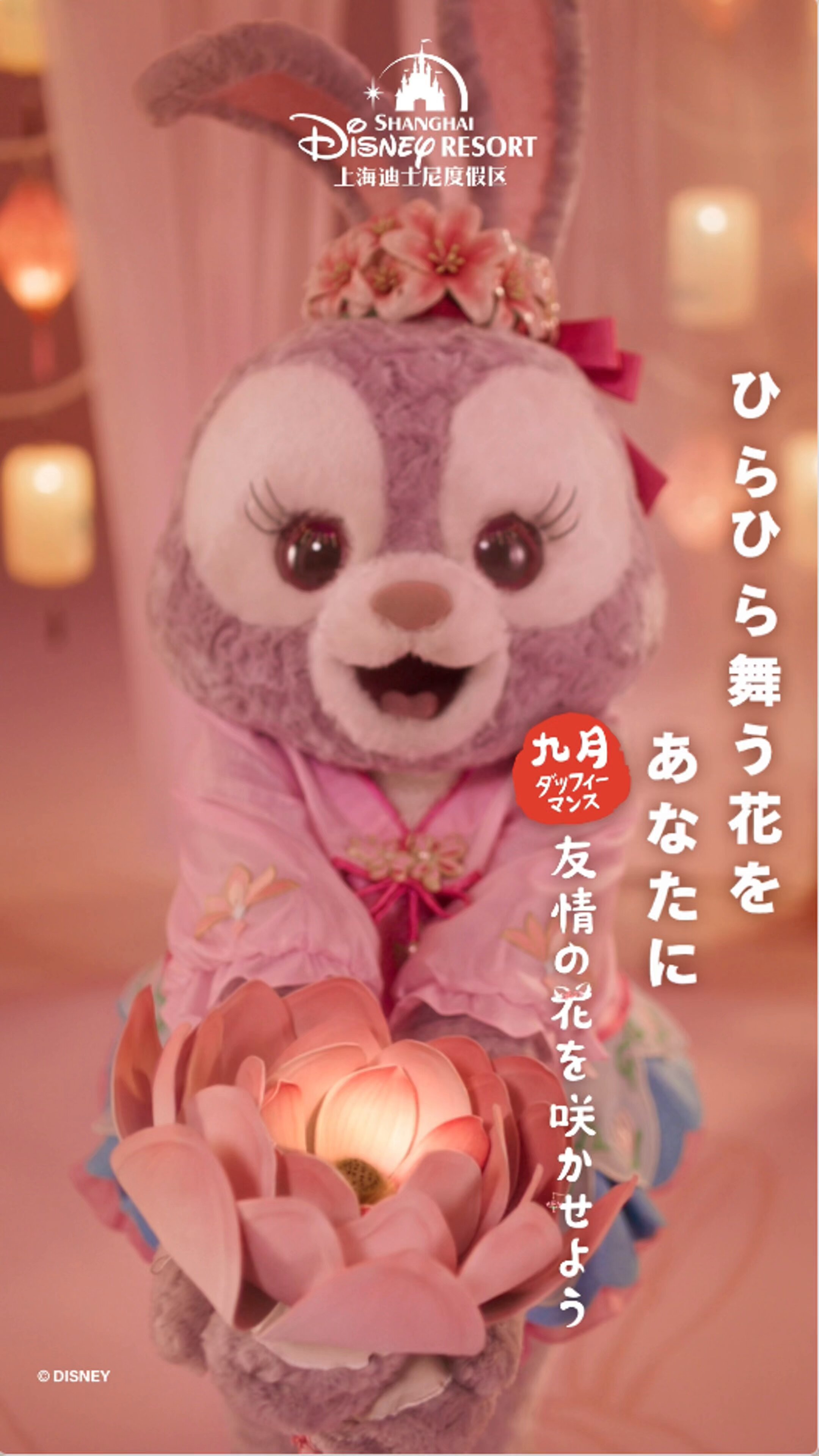 りり☆Riri (@riridsds) / X