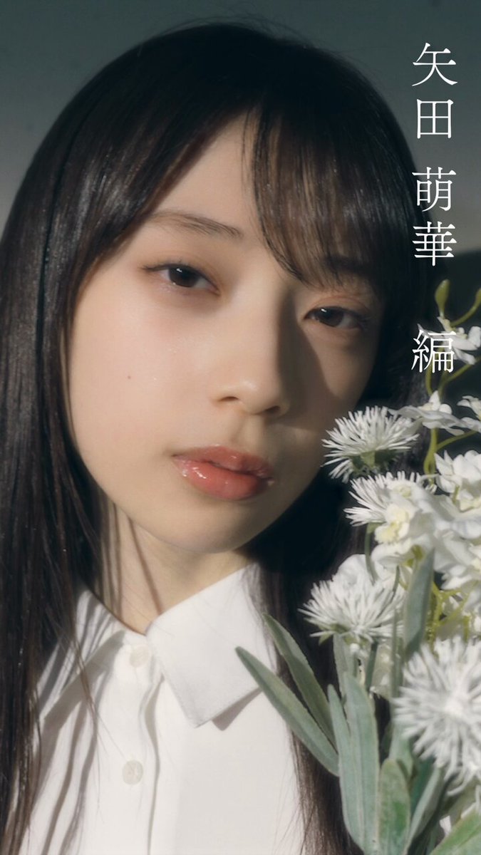 乃木坂46　真夏の全国ツアー2025　東京　生写真　9種コンプ　矢田萌華 Amazon.co.jp: 乃木坂46 生写真 2025年 浴衣 3種コンプ 矢田萌華
