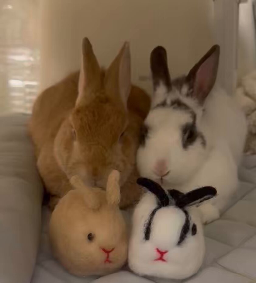 うさぎもち on X: 