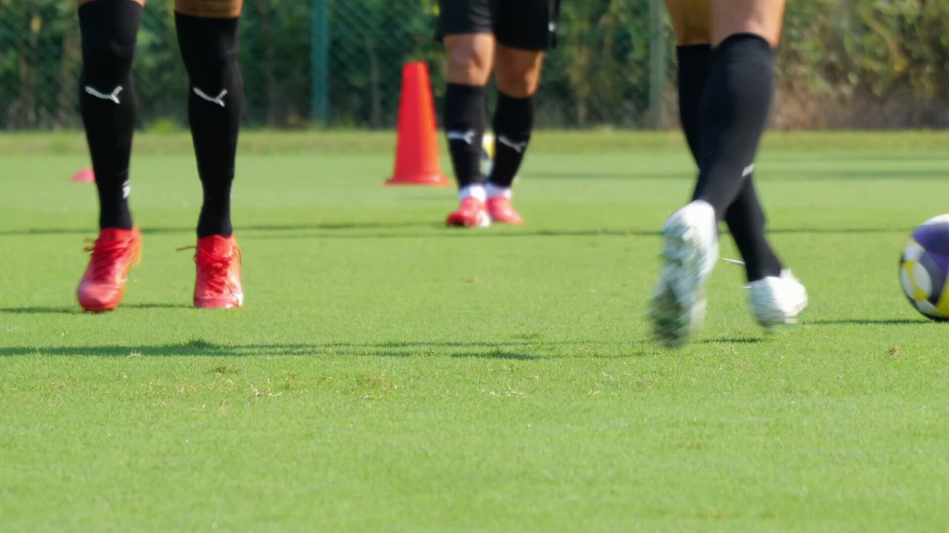 抽選イベント当選京都サンガF.C サインボール公式球 2024サンガ