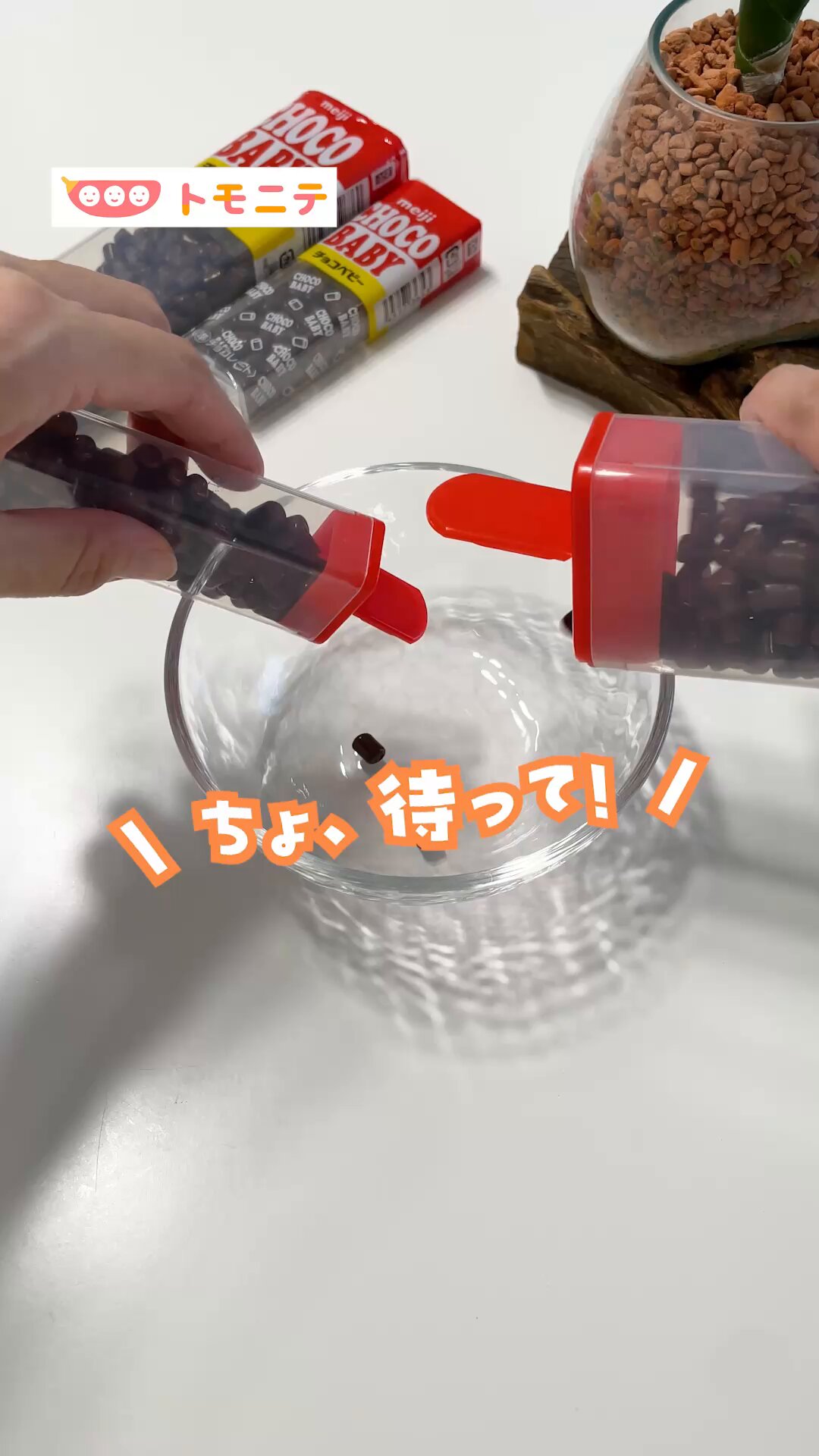 チョコのゴミ WOC PB SPECIAL BLEND 71.6% | CHOCOLATE,ワールドオブ