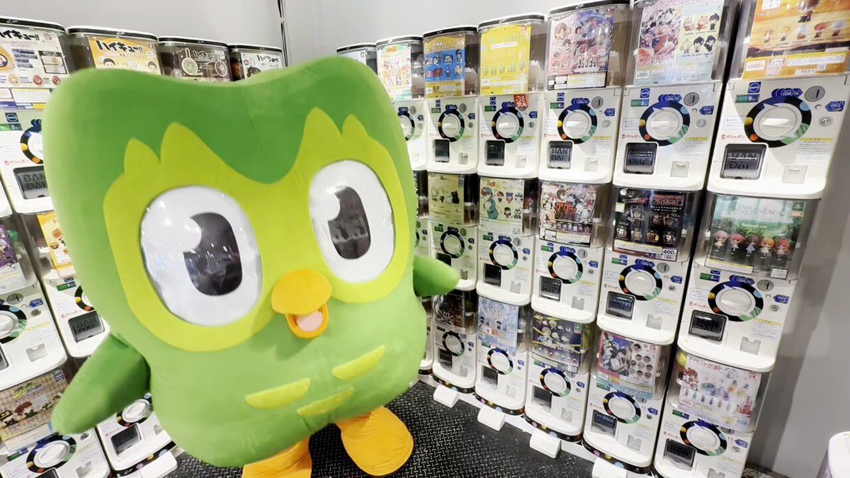 Duolingo(デュオリンゴ) | 日本公式🇯🇵 (@Duolingo_Japan) / X