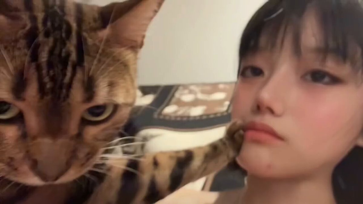 ねこ様 90s 海外ドラマ ビバリーヒルズ高校白書 ビバリーヒルズ青春白書