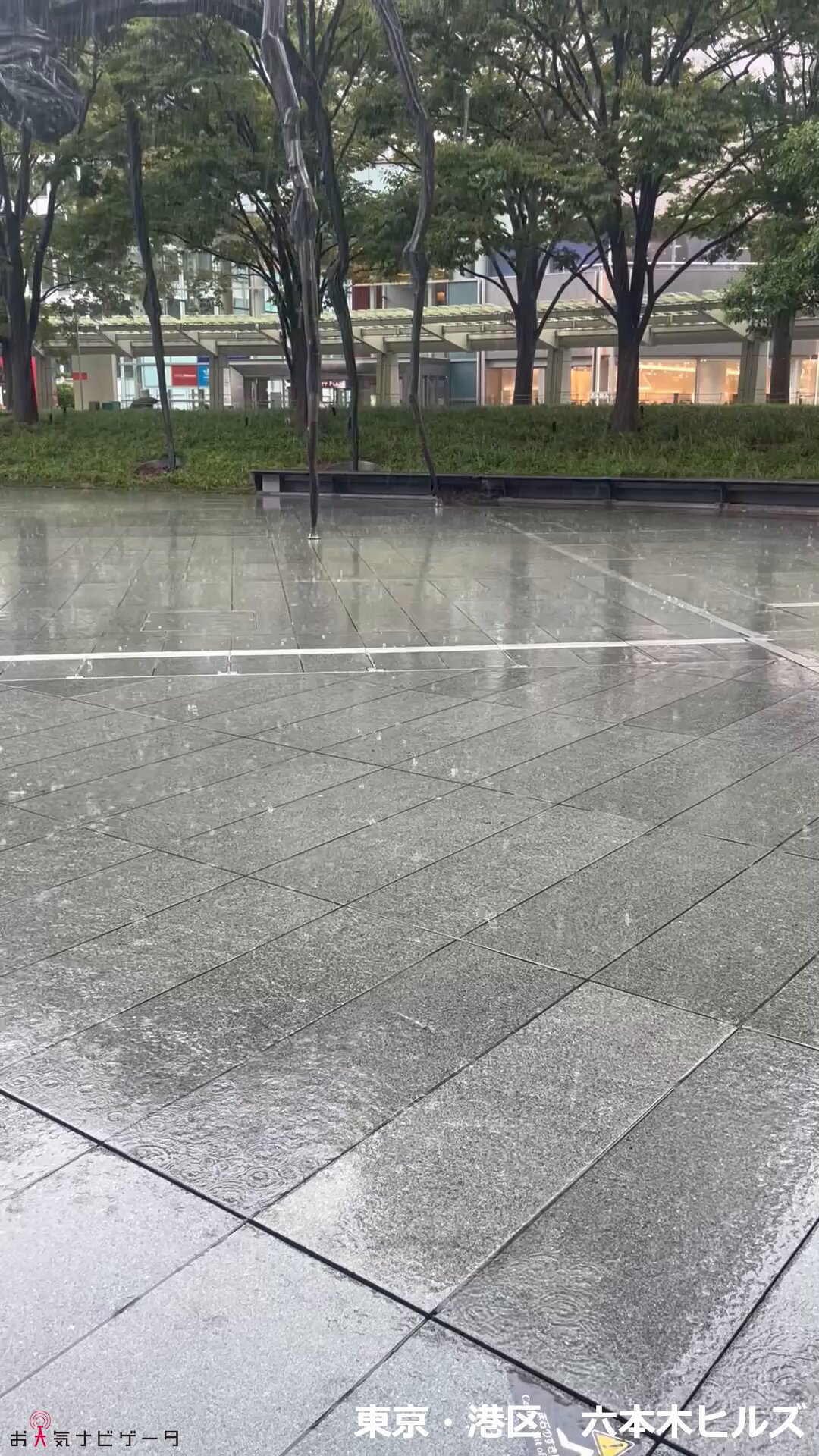 雷雨ページ Yahoo!オークション -「ライブディオ zx」(オートバイ車体