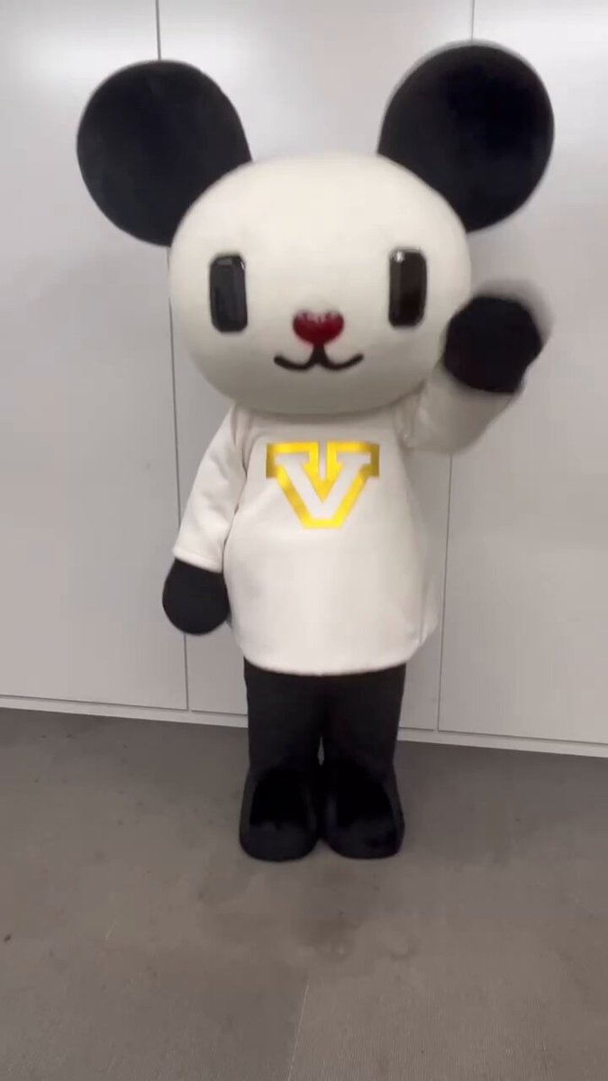 ごーちゃん product12370_1b.jpg