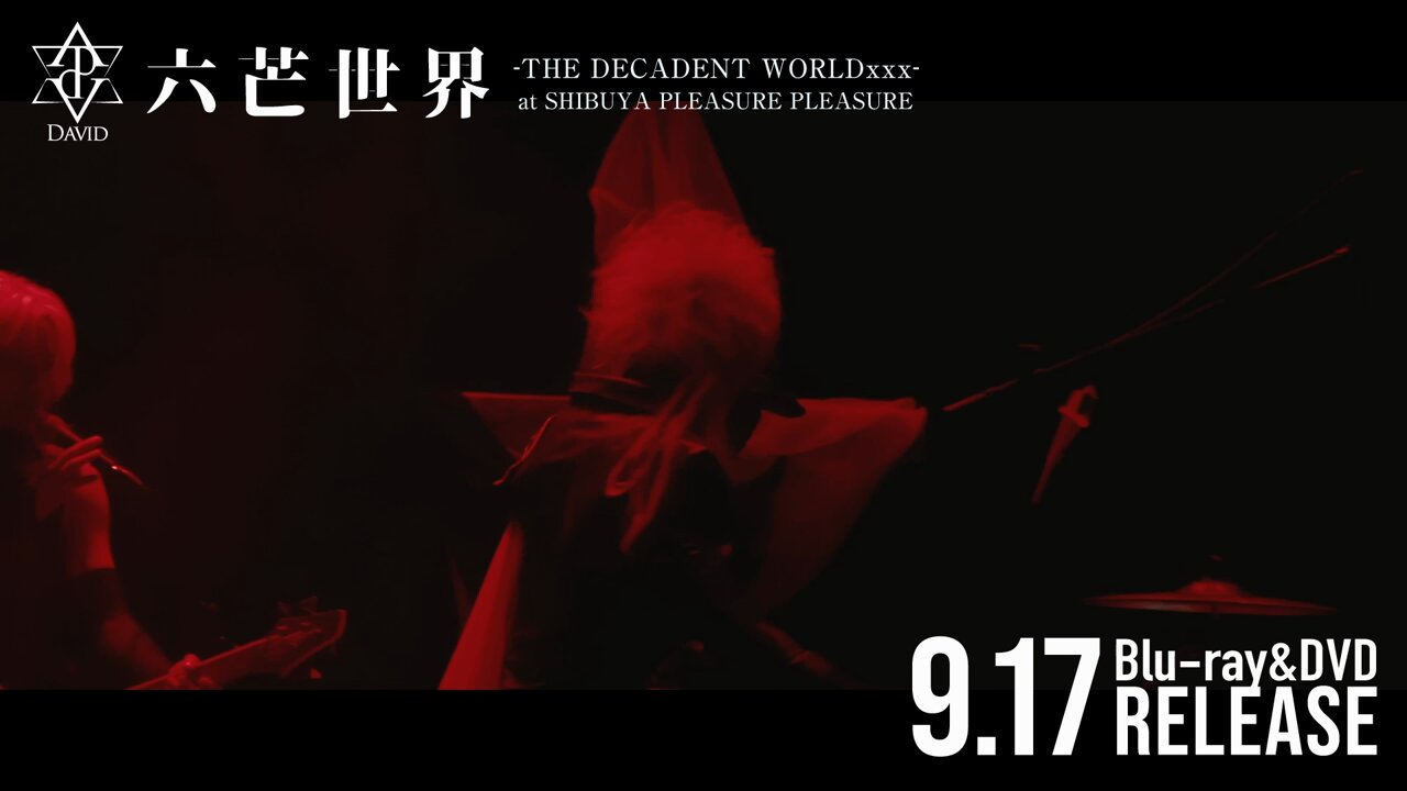DAVID / LIVEパンフレット+CD 会場限定,SUI,翠 DAVID / LIVEパンフレット+CD 会場限定,SUI,翠 サントリージン