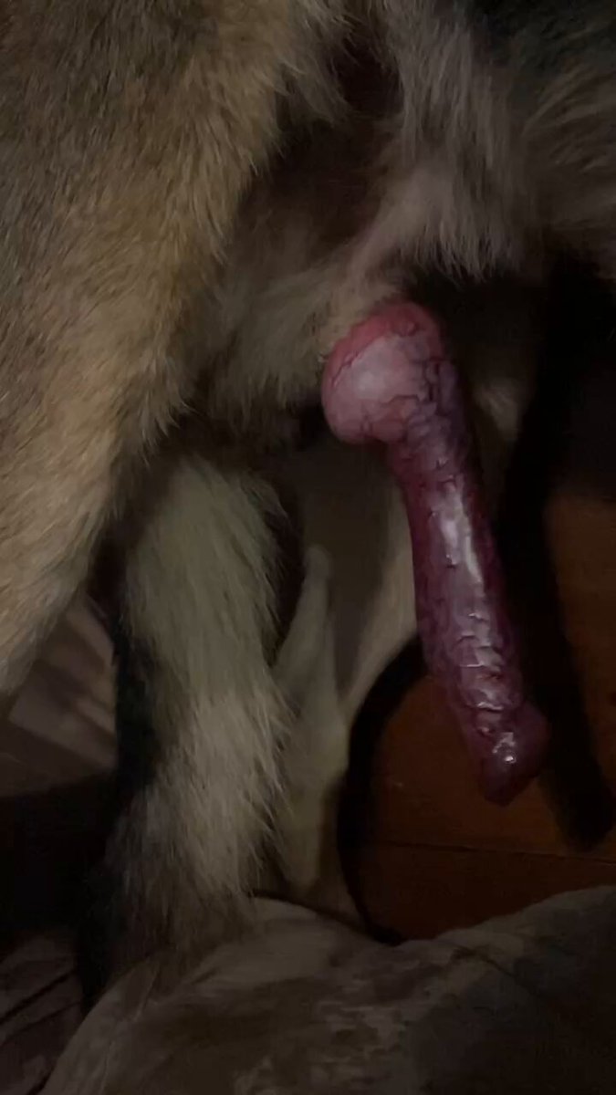 A woman in a suggestive pose with zoo animals