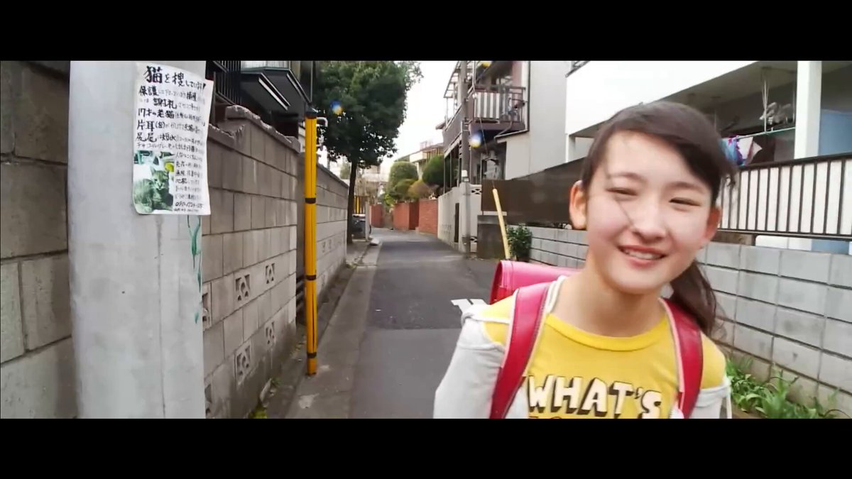 Video by @MarySueDating