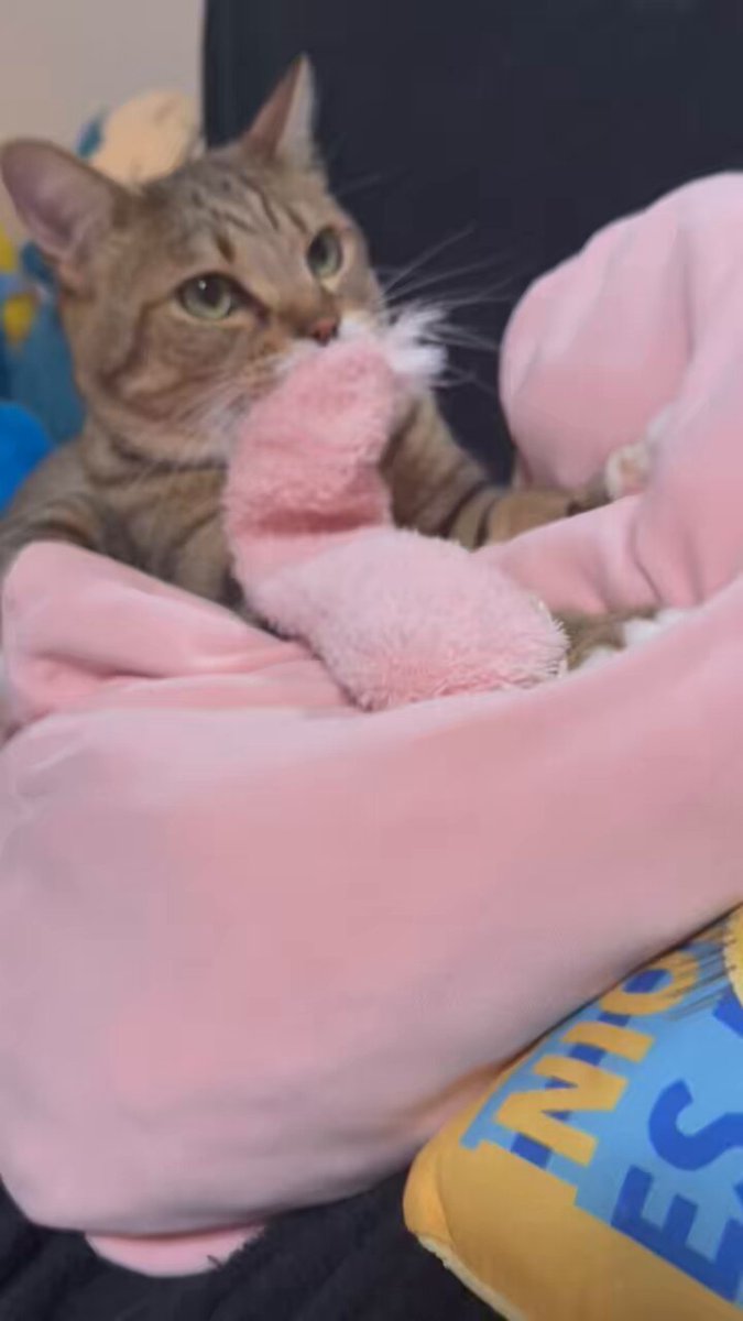 moka (@Moka0527Ramu) / X