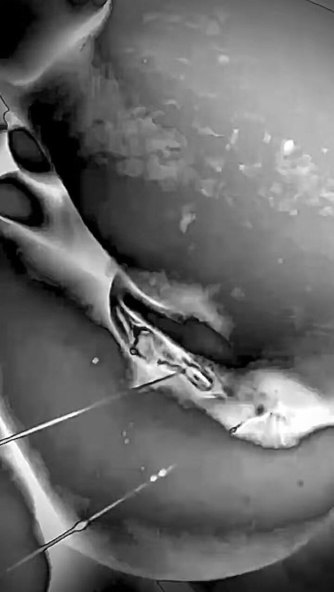 Video by @misaki__water