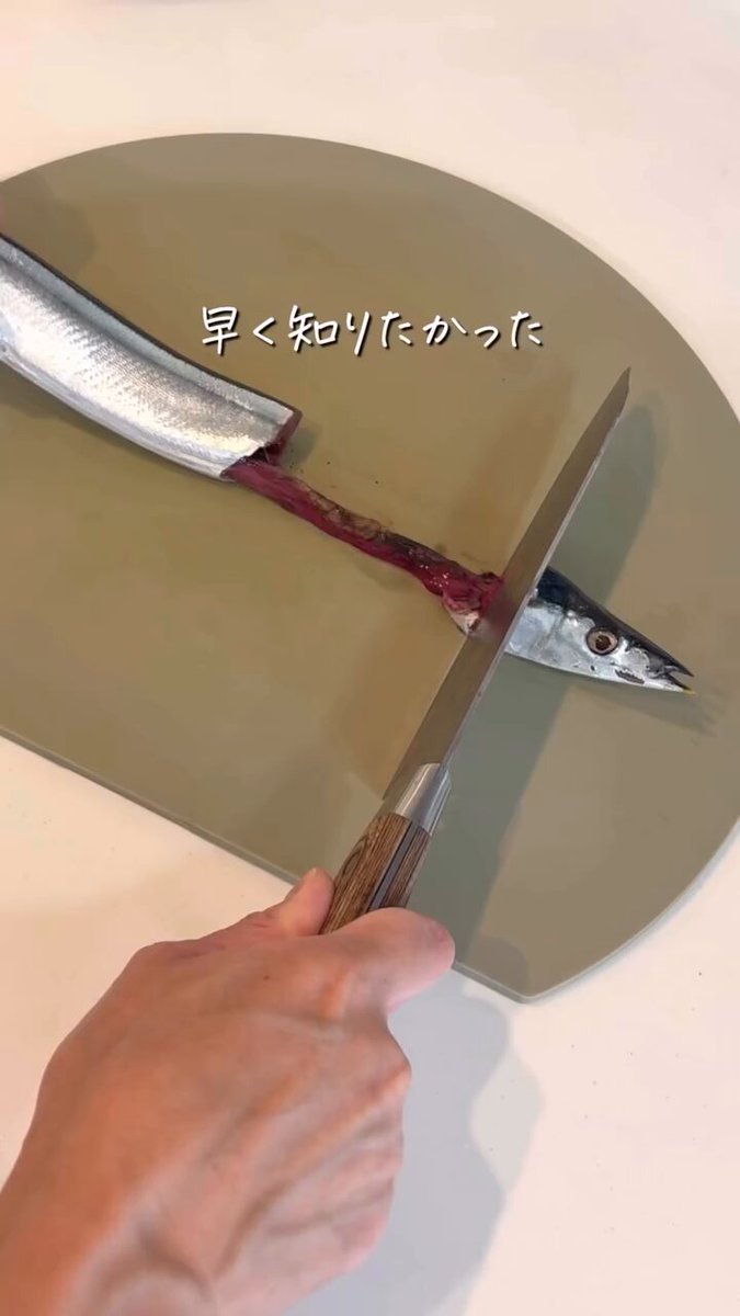 遺品整理◼️蔵からかなり古い超特大な星4つの謎のお皿が出てきた！ 遺品整理◼️蔵からかなり古い超特大な星4つの謎のお