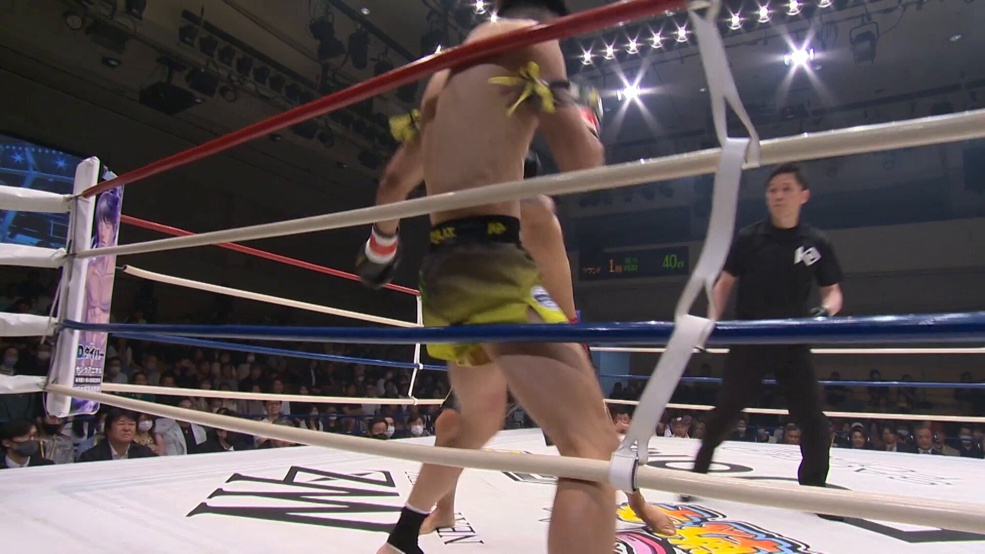 追加分 ◆ ぽこた ③ KNOCK OUT(ノックアウト)公式 on X: