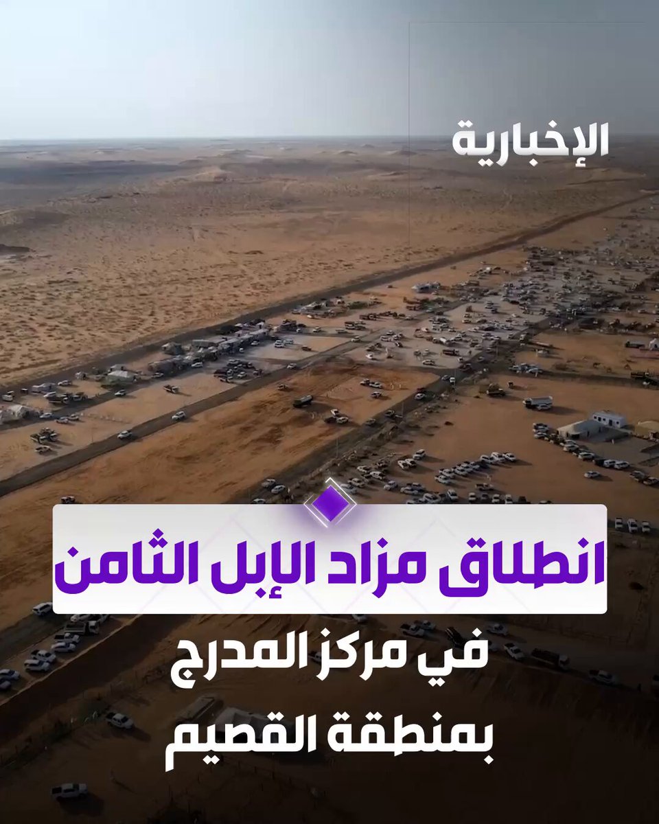 انطلاق مزاد الإبل الثامن في مركز المدرج بمنطقة القصيم. عبر مراسل الإخبارية يوسف الحميد 