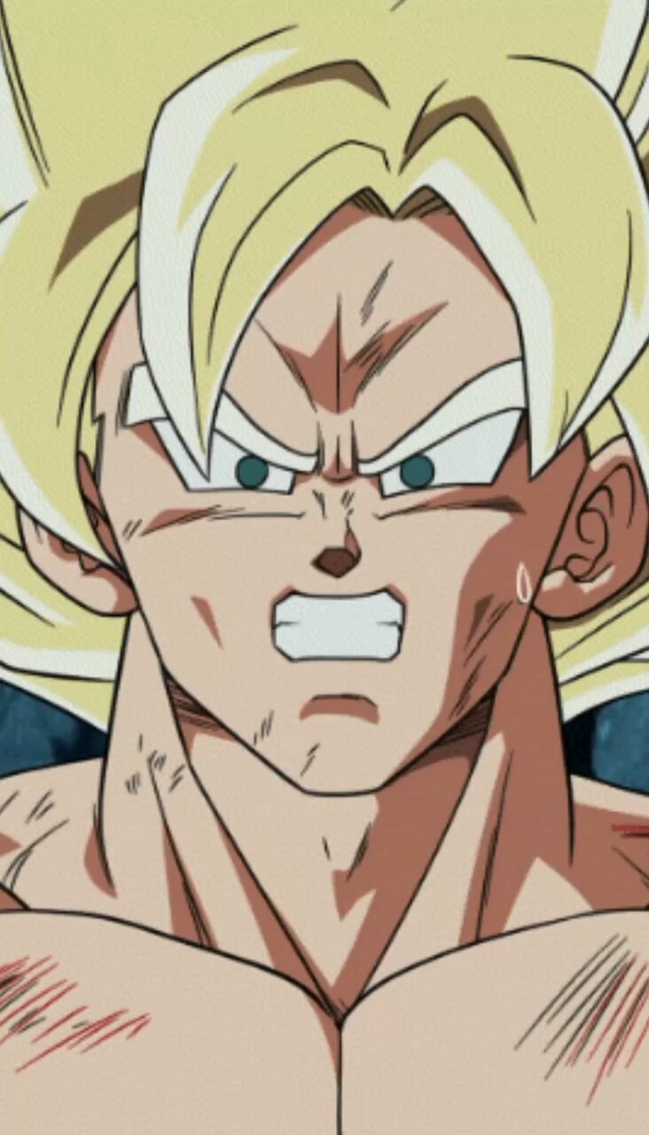 ゴクウです LL/SP/YEL「ゴクウブラック 2024フェスティバル(DBL77-05S