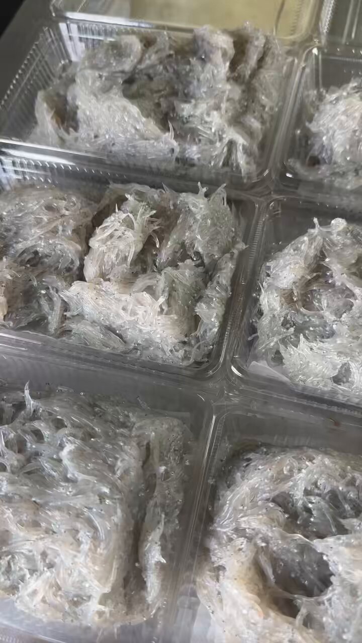 ややひじきです。 ひじき (@ROZZObb16) / X