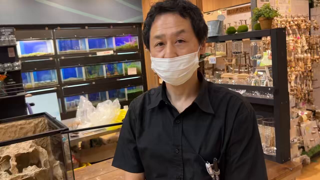 miyu♡　爬虫類ゲージオーダーメイド オーダーコンセプトケージ オオアオムチヘビ コンセプト「電車