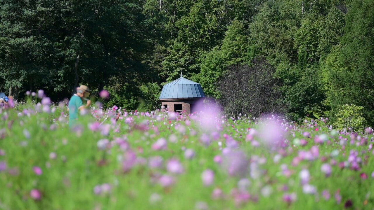 国営滝野すずらん丘陵公園 on X: 