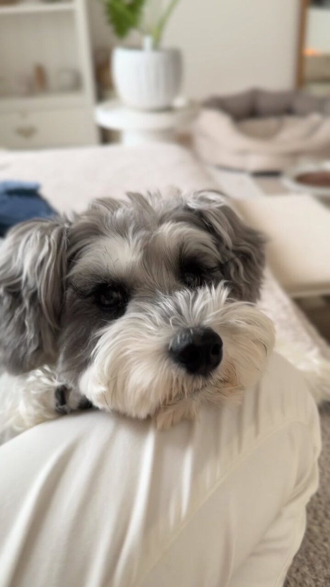 TETO (@TETO20200603) / X