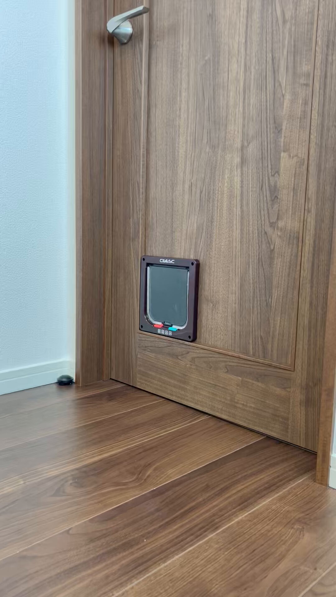 サビ猫くるみ on X: 