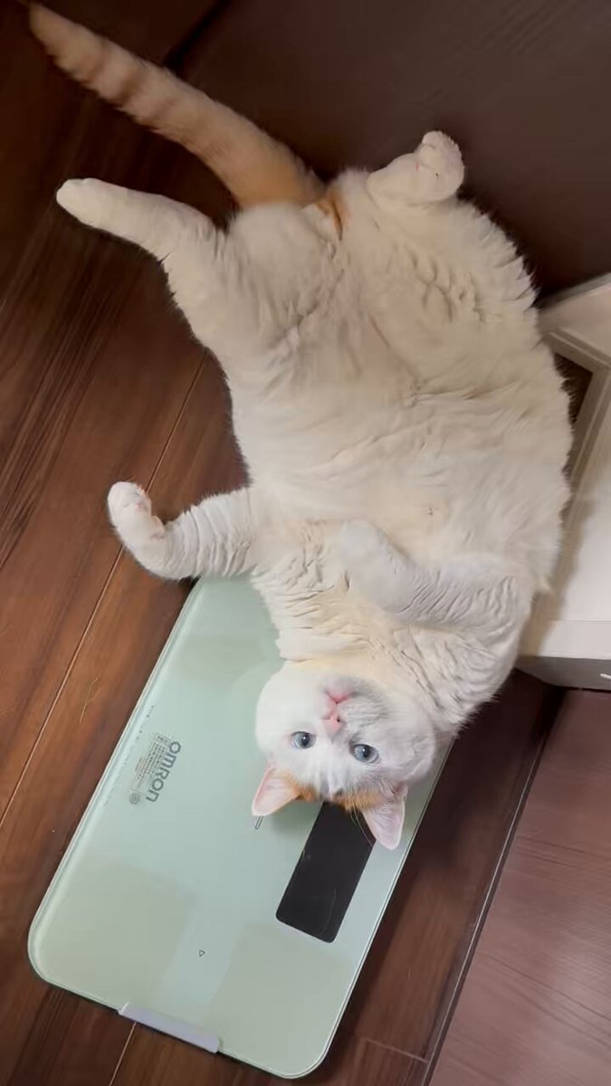 かをりん Amazon | アイシン(AISIN) 車用 イグニッションコイル スズキ車