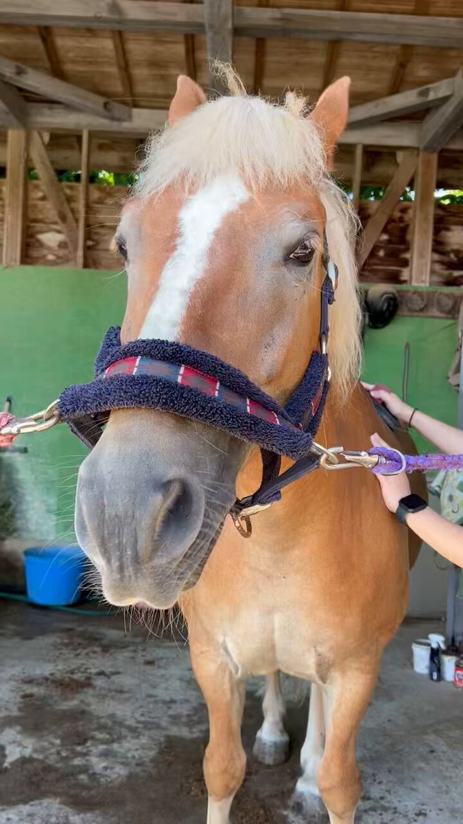 専用♡sara SARA 🌸skeb募集中！ (@sarasuty1221) / X