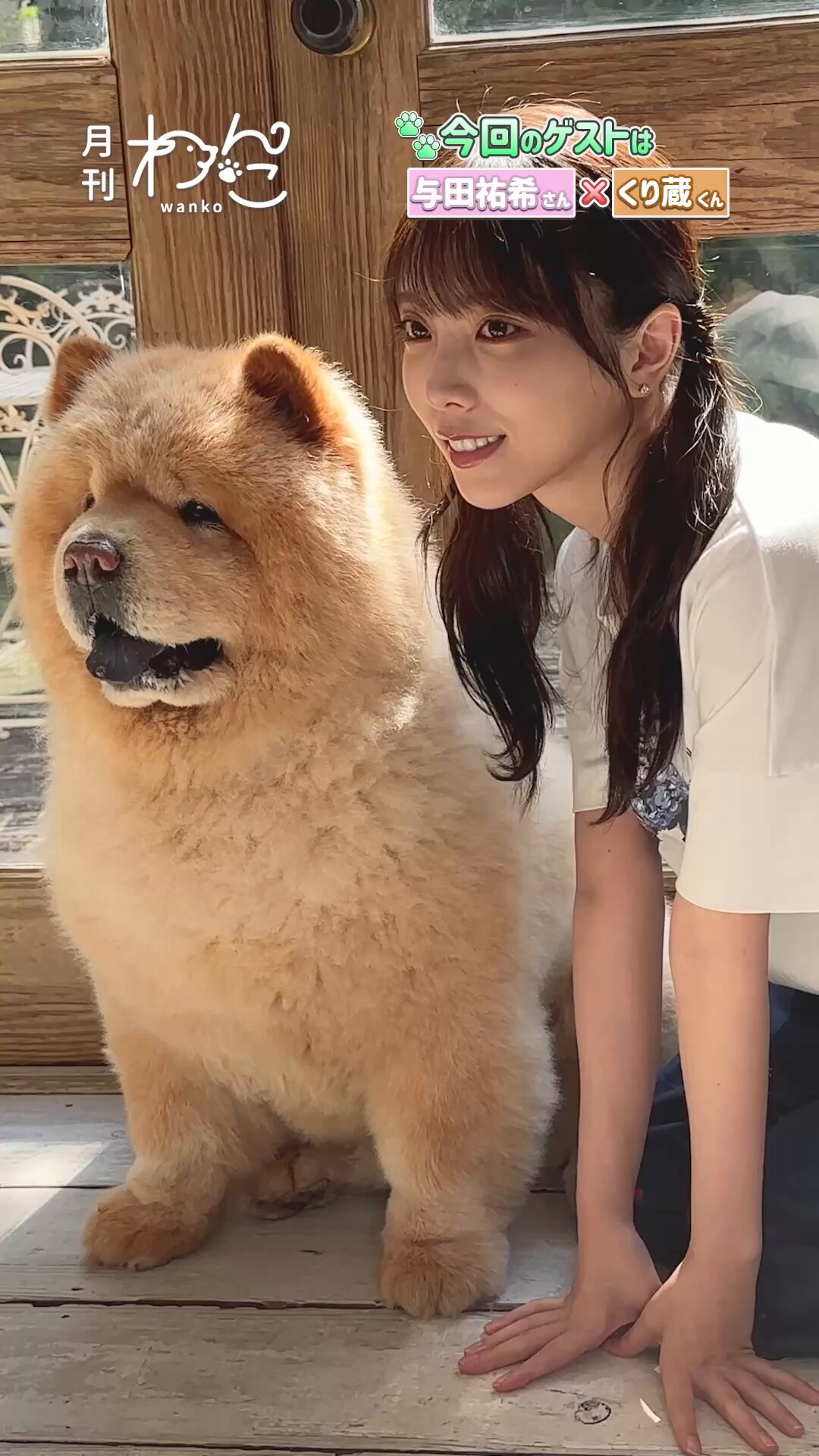 与田祐希 犬の着ぐるみ 写真 2018 与田祐希 犬の着ぐるみ 写真 2018 N46MODE vol.2公式アカウント