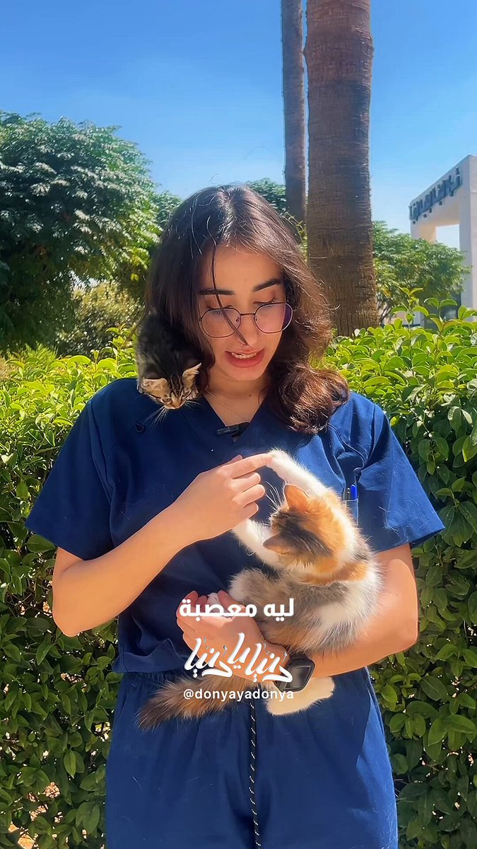 القطة مش بس حيوان أليف.. هي روح بتملأ البيت حب وحنان #دنيا_يا_دنيا 