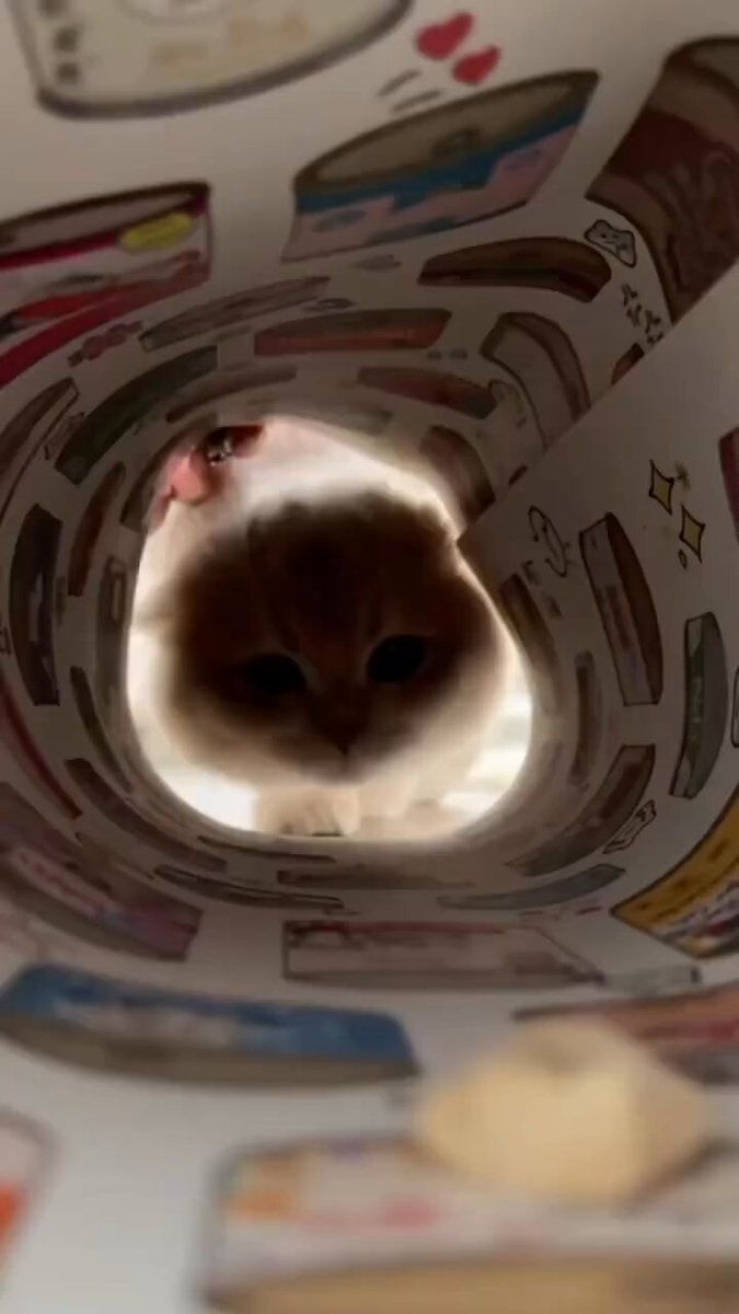猫Love 2段ケージ サークル 猫用ケージ アイラブペット ボンビ ウッドワン