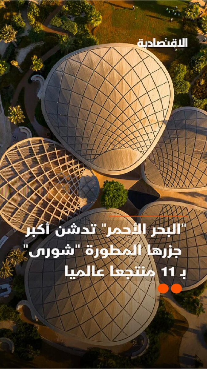 تستعد جزيرة شورى أكبر جزر "البحر الأحمر الدولية" في استقبال النزلاء خلال الأسابيع المقبلة.. تعرف على تفاصيل منتجعات الجزيرة في تقرير #الاقتصادية 