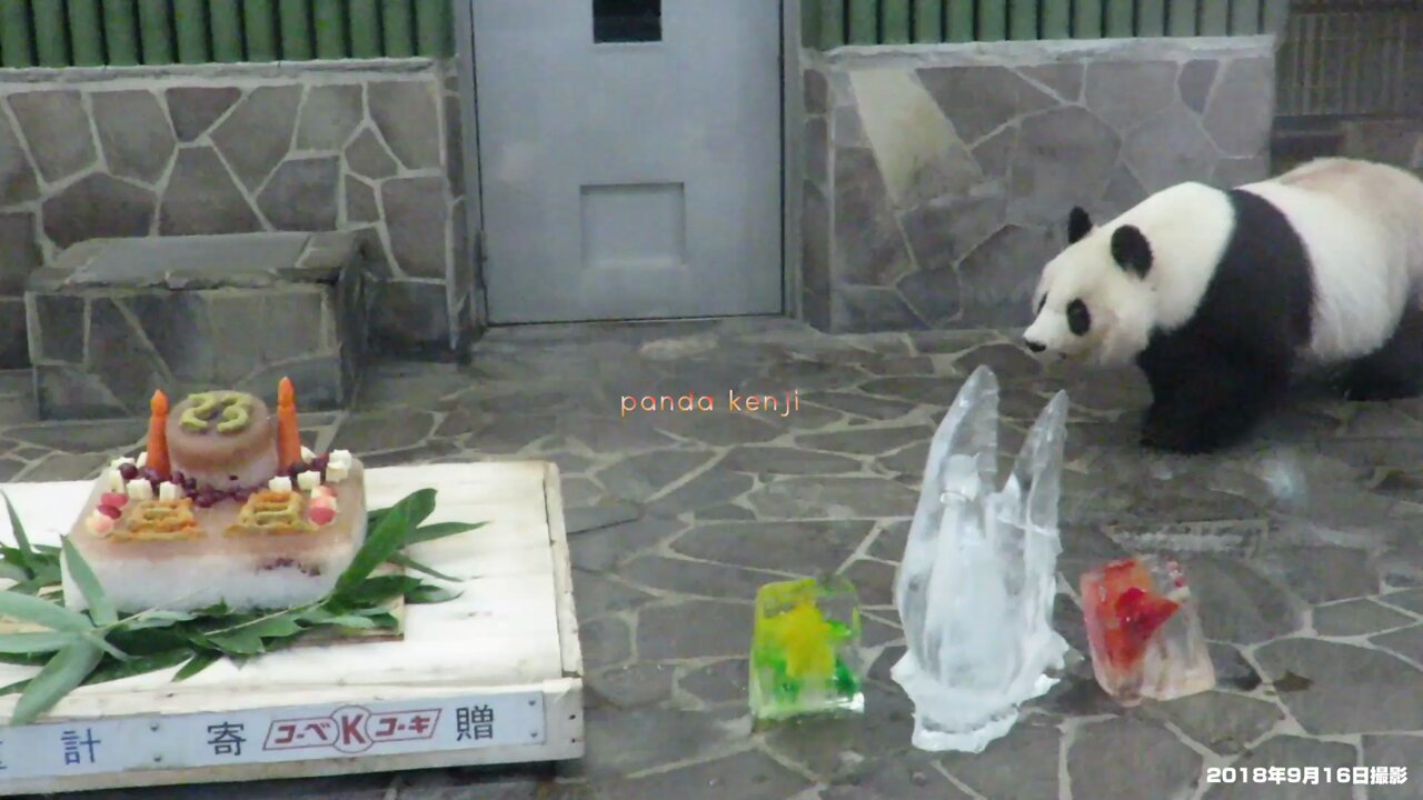 PANDA KENJI (@PANDA_KENJ1) / X