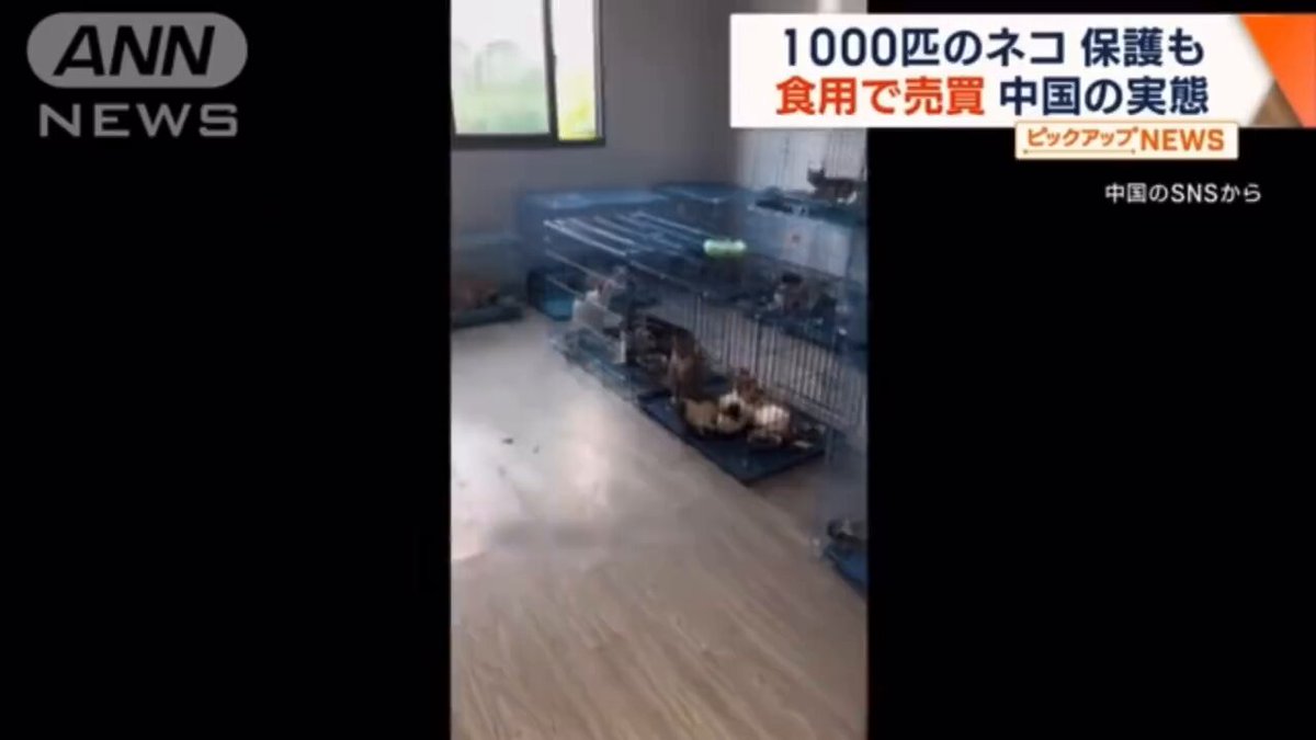 Video oleh @qsfkbwIhuWLhnjI