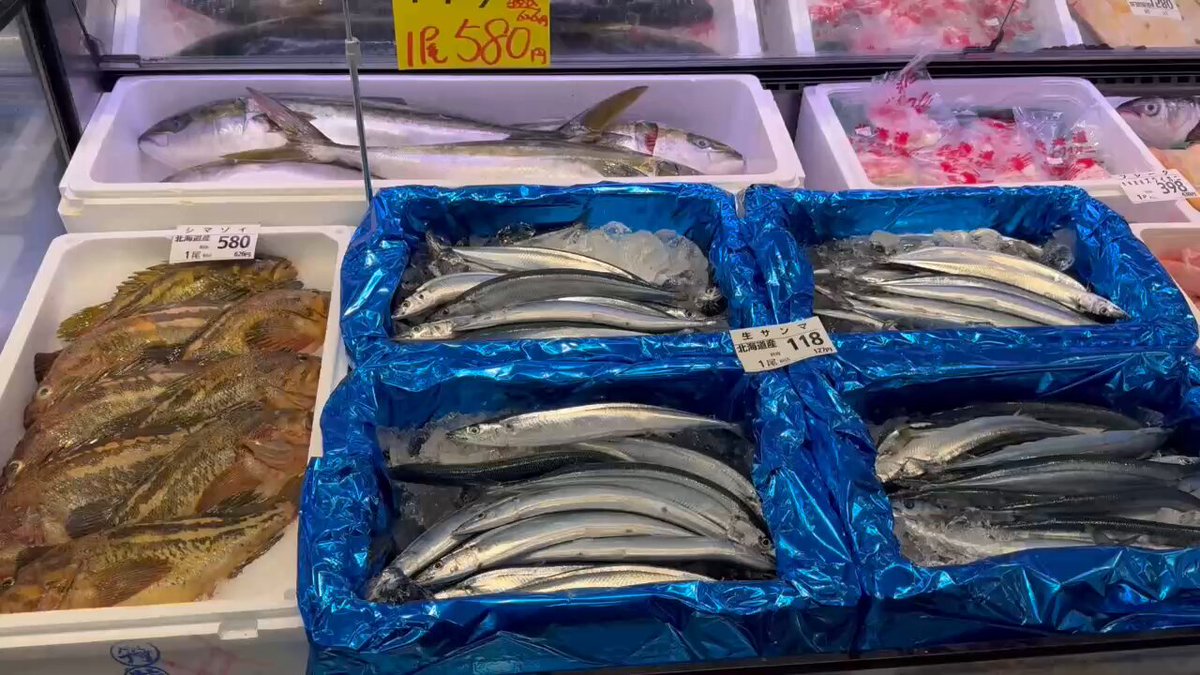 E3%83%9E%E3%83%83%E3%83%81%E3%81%AE%E6%97%A5