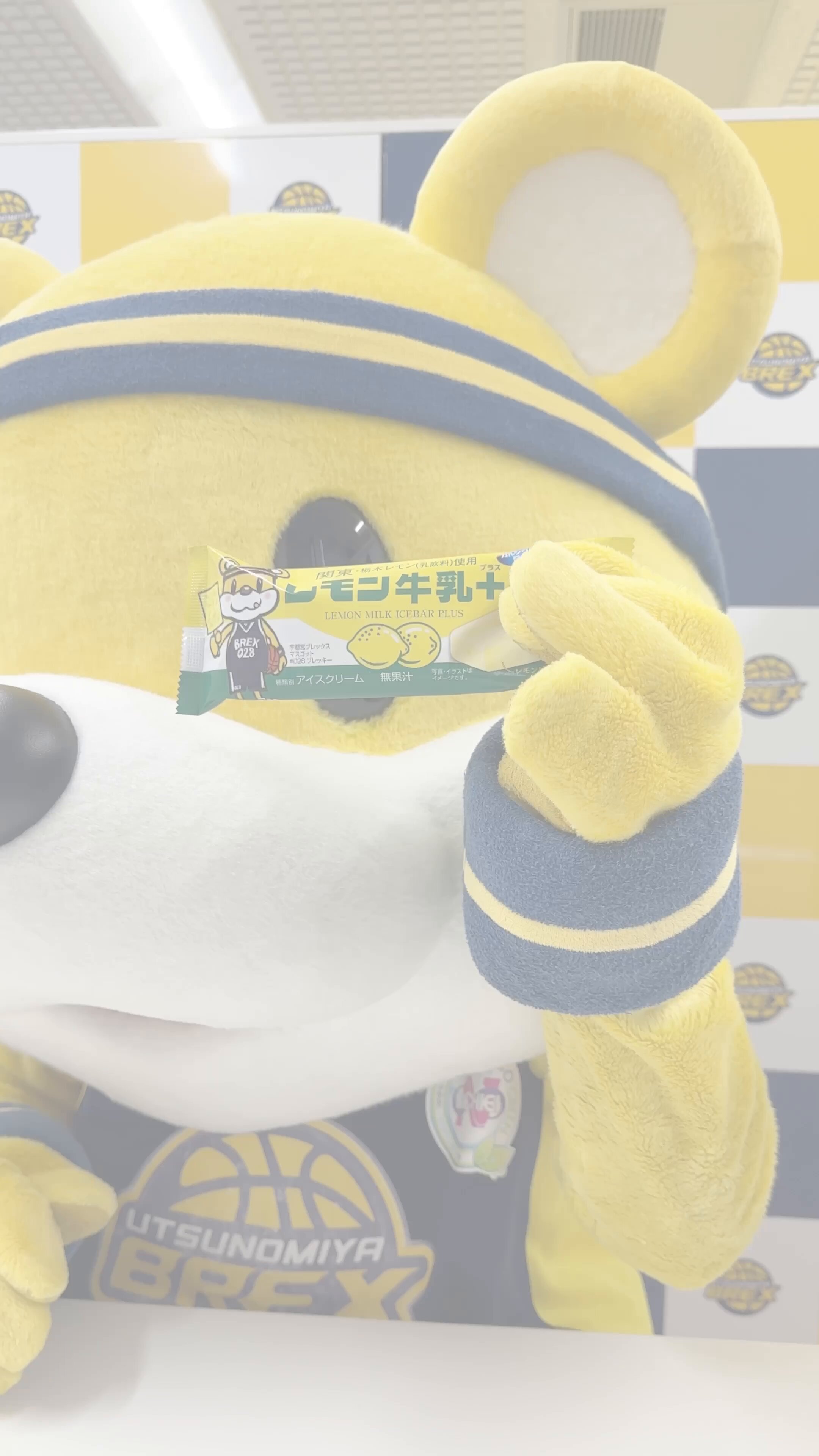 ユーハイム別注ビスケット⭐️新品未開封⭐️box &ショッパー付き⭐️近沢レース njdVHXAjiL20250709121030.jpg