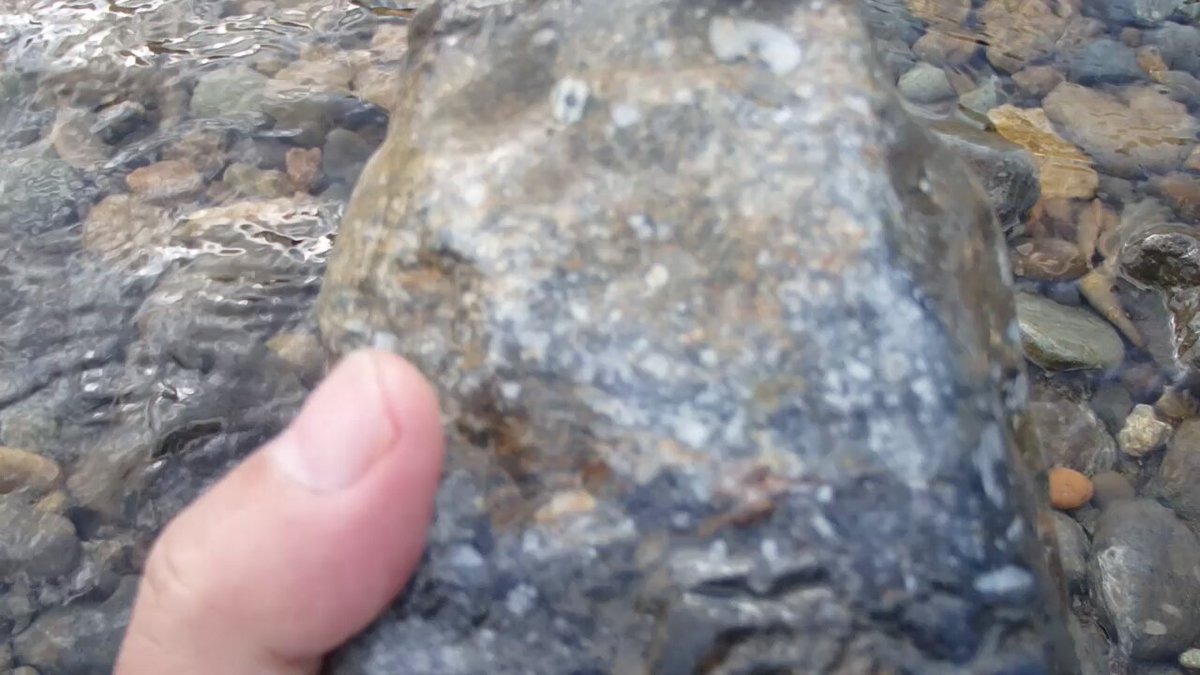 ウミユリ - Search / X