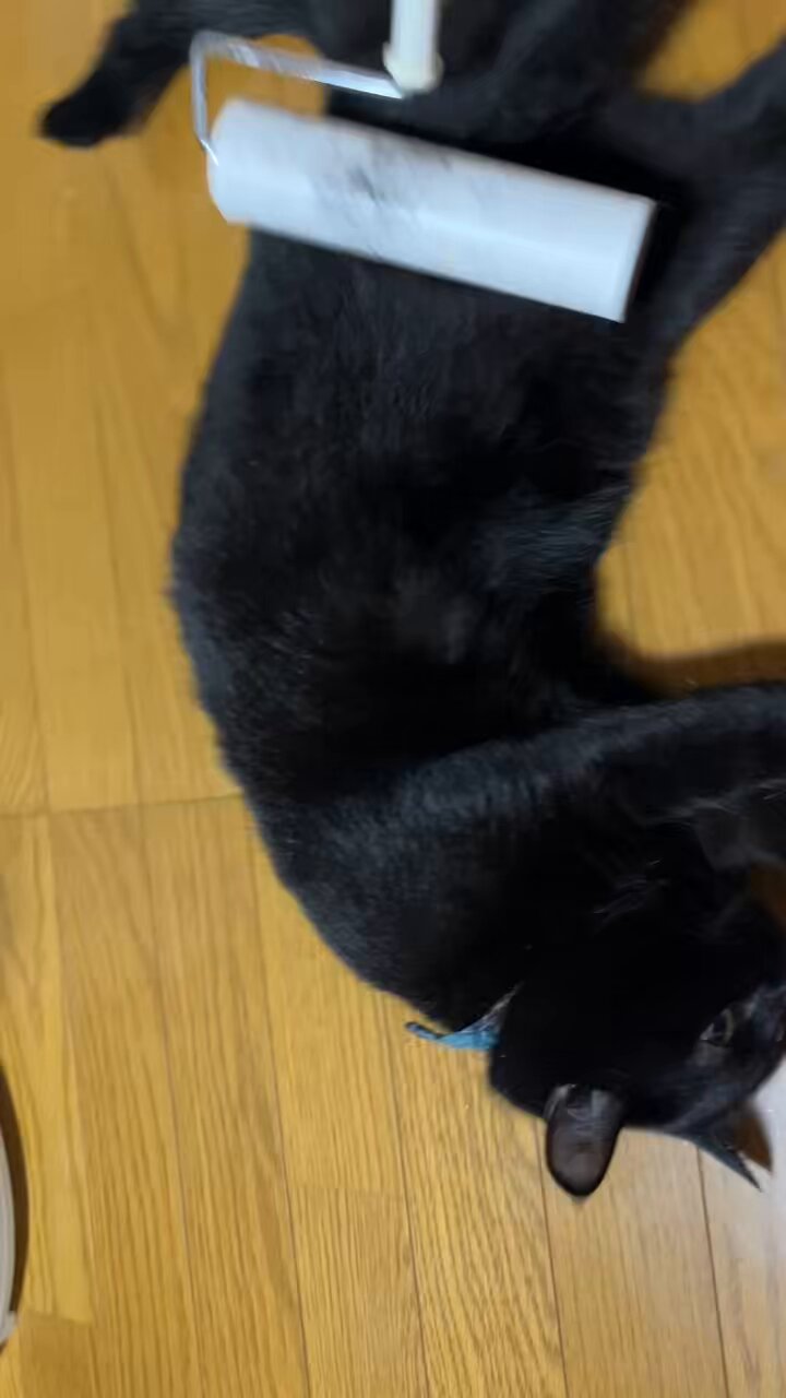 ふじふじい on X: 