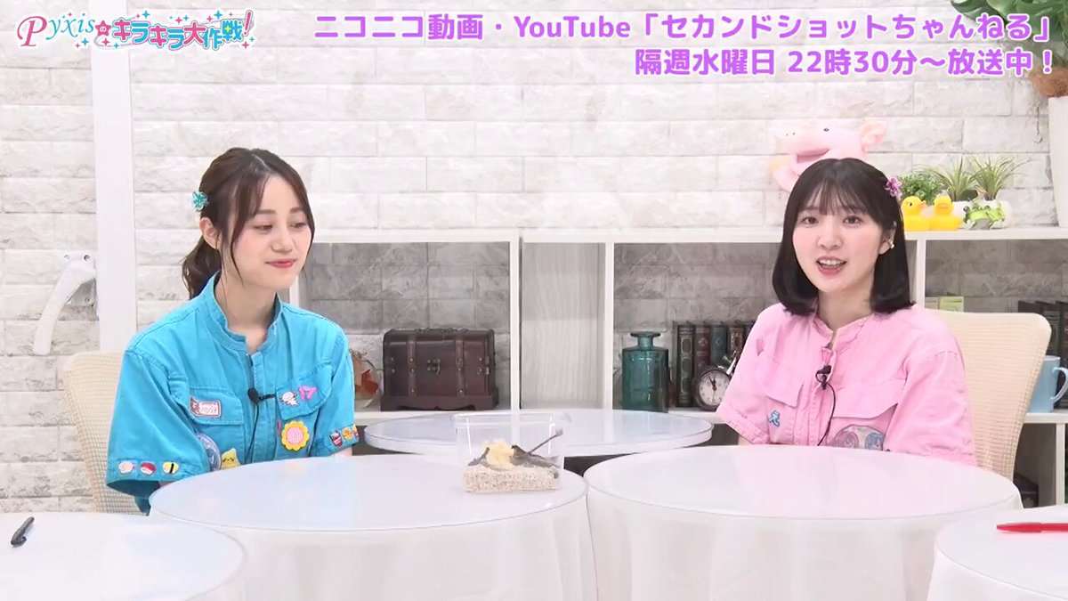 pyxis サイン入りチェキ　伊藤美来　豊田萌絵 pyxis サイン入りチェキ 伊藤美来 豊田萌絵 Amazon.co.jp: Pyxis
