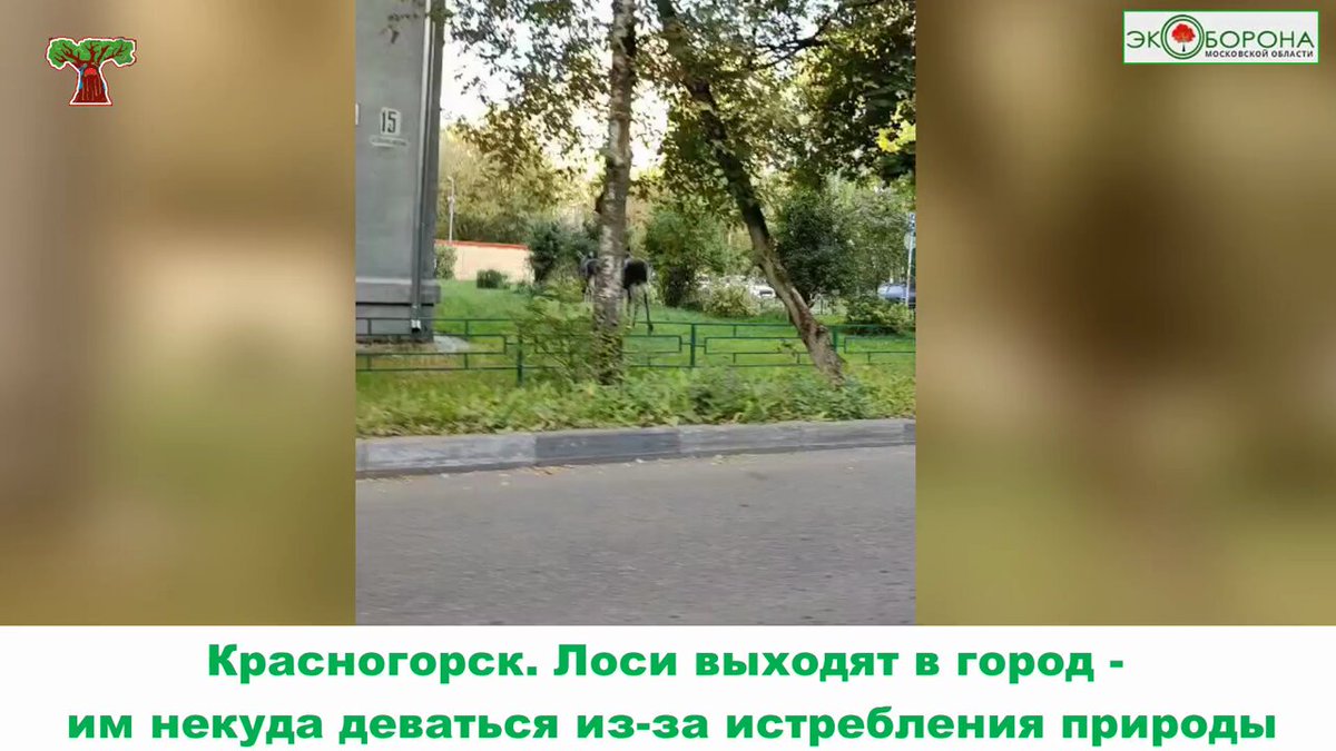 Оны қалың ерлер еркелетіп алды