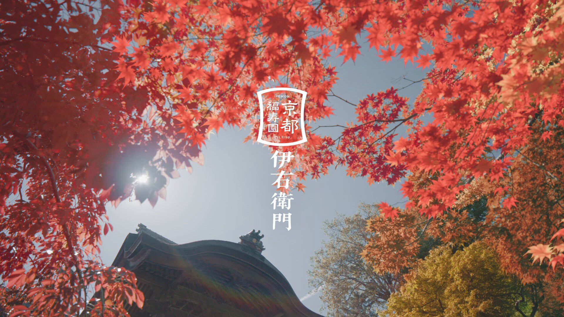 【限定商品】Suntory たすき（箱無し） 限定商品】Suntory たすき（箱無し）