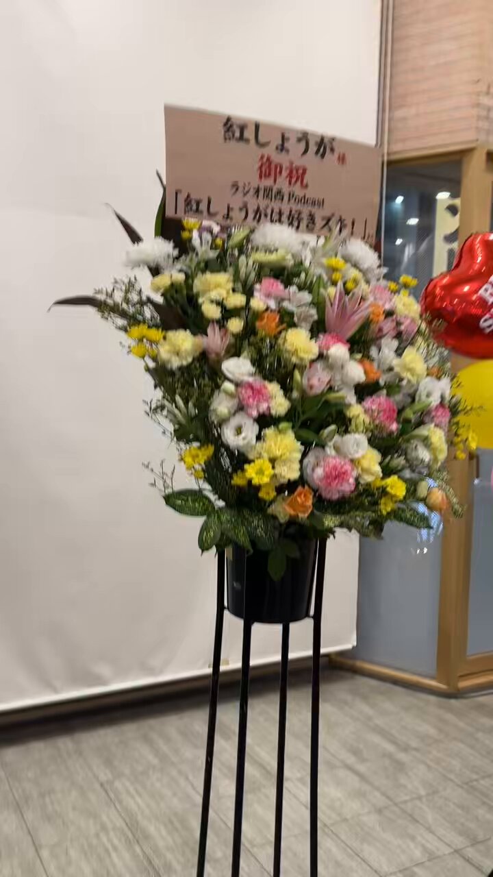 さとみさとみ – търсене / X