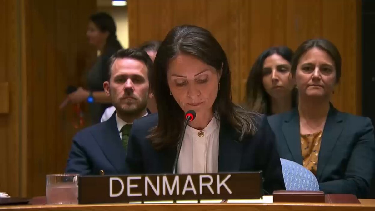 A woman with shoulder-length brown hair, wearing a dark blazer and white shirt, speaks at a microphone in a formal setting. A nameplate reading "DENMARK" is prominently displayed on the desk in front of her. Behind her, several individuals in business attire, including men in suits and women in blazers, sit attentively. The wooden-paneled room features a professional, official atmosphere, with a glass of water and documents visible on the desk.