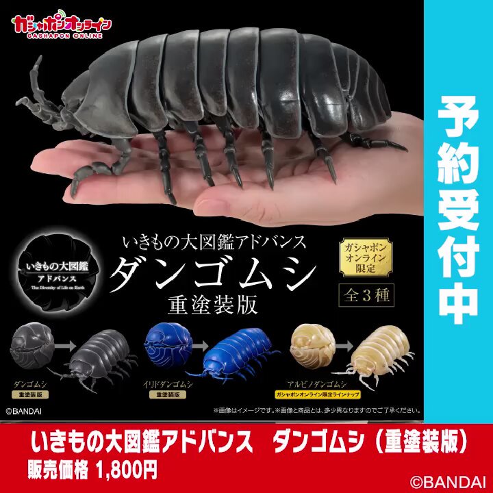 公式】バンダイ ガシャポン (@Gashapon_Bandai) / X