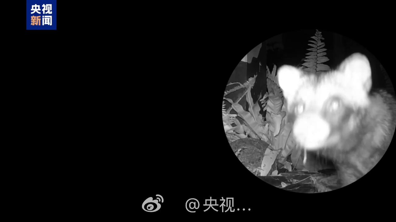 【何処へ行くのか、この国は : 元駐米大使、若人への遺言】 Amazon.co.jp: 何処へ行くのか、この国は: 元駐米大使、若人への